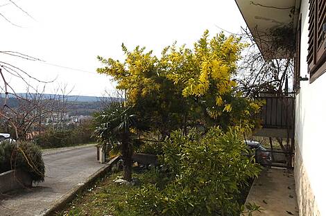 Лучия, дом, Камполин: 30