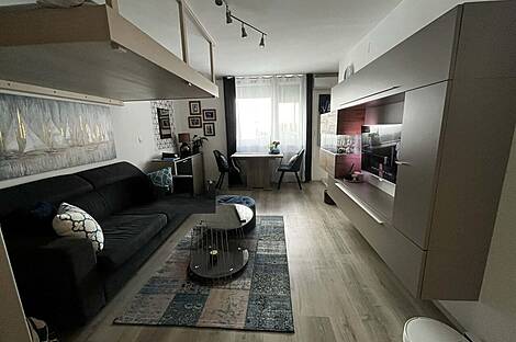 Однокомнатная квартира Шишка: 2