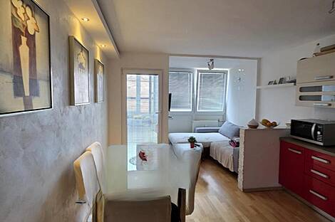 Квартира с двумя комнатами Шишка: 1