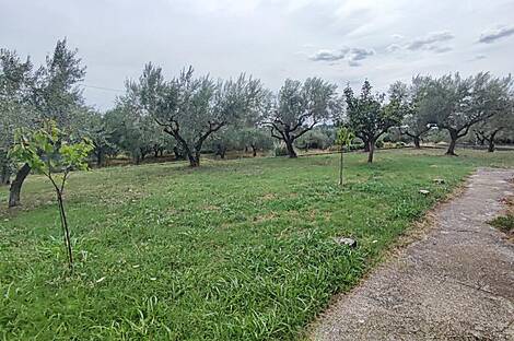 Жилище, Нова Вас над Драгоньей: 26