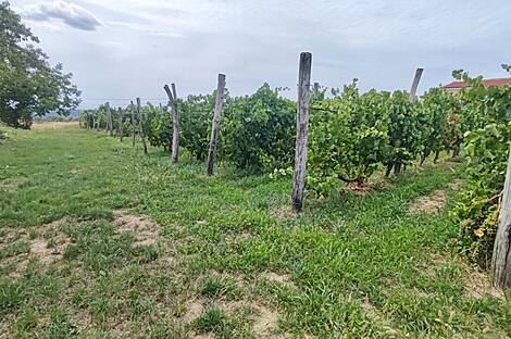 Жилище, Нова Вас над Драгоньей: 27