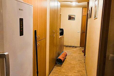 Жилье на улице Главаревой: 7