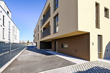 Жильё в Новом Поле: 16