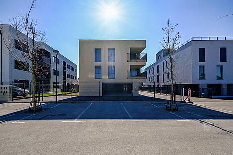 Жильё в Новом Поле: 22