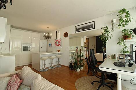 Двухкомнатная квартира в районе Новая Жишка: 1