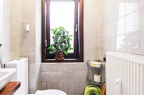 Квартира с четырьмя комнатами в центральной части города: 13