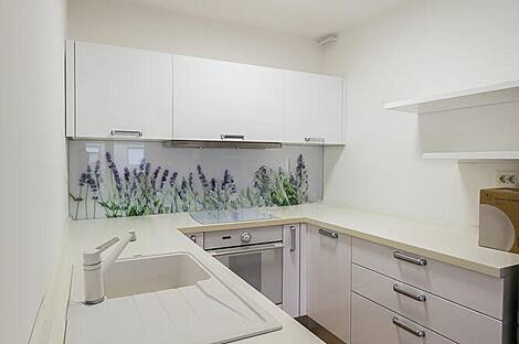 Четырехкомнатная квартира в Ново Фужине: 5