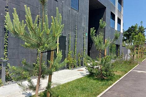 Квартира из четырех комнат под названием Шишка: 7