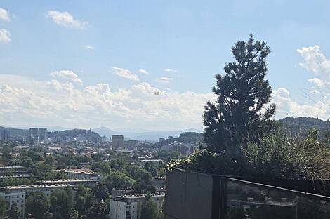 Квартира из четырех комнат под названием Шишка: 11