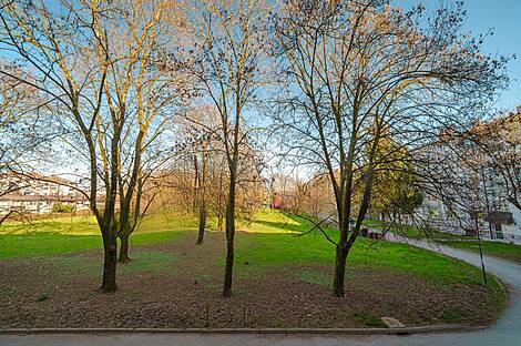 Трёхкомнатная квартира в районе Новый Штепаньско Насселье: 10