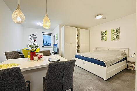 Двухкомнатное жилище Шишка: 2