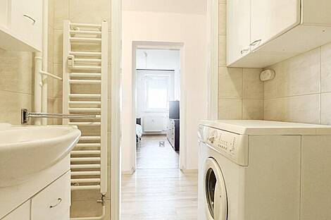 3-комнатная квартира в Новой Шишке: 25