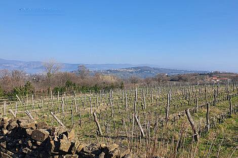 Резиденция Коломбан Коломбано: 8