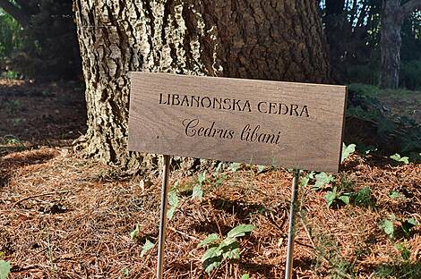 Резиденция Коломбан Коломбано: 25