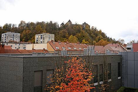 Трёхкомнатная квартира в центре Любляны: 22