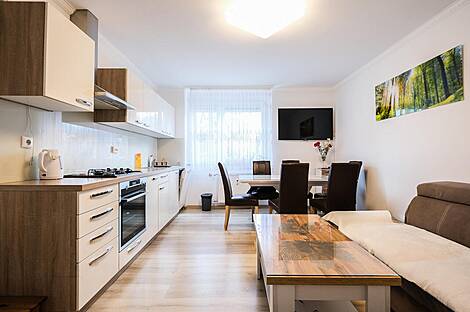 Трёхкомнатная квартира, Новая Любляна, район Бежиград.: 1