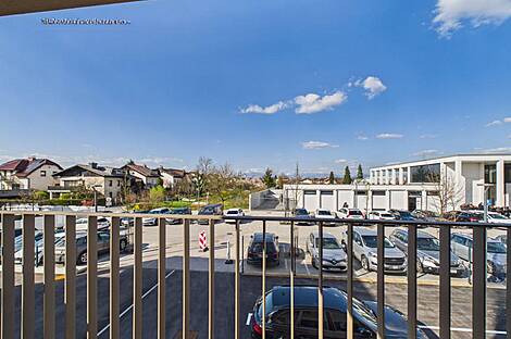 Четырёхкомнатная квартира Поле: 10