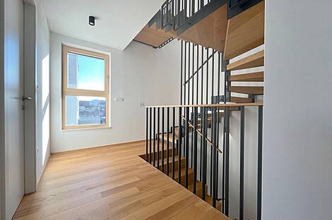 Жильё в Новом Поле: 10