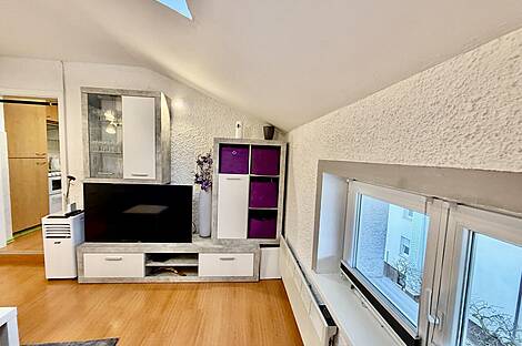 1-комнатная квартира, Шишка: 5