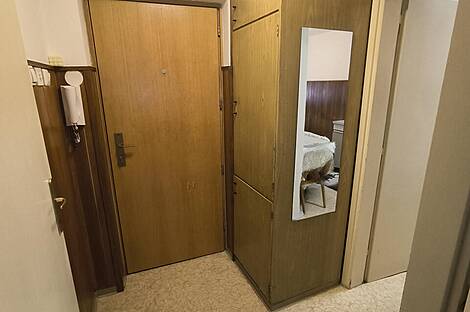 Однокомнатная квартира в районе Шишка: 9