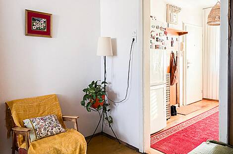 Шишка, 3-комнатная квартира: 7