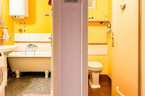 Шишка, 3-комнатная квартира: 13