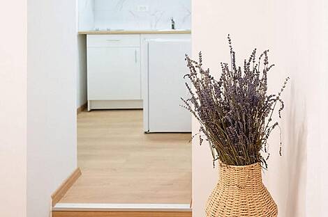 Студия в Изоле: 3