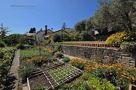 Порторож, дом: 17