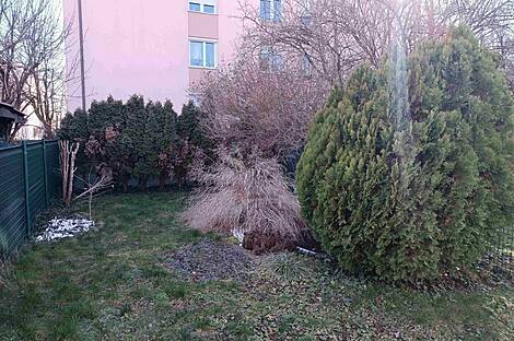 Дом с террасой в Ново Любляне в районе Бежиград: 17