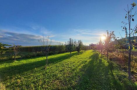 Дом, Любляна, Бежиград, Подгорица.: 4