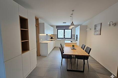 Новый дом в Любляне, район Мосте Залог, с террасой.: 13