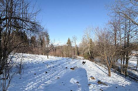 Дом, Явор, Любляна, Добрунье.: 8