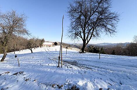 Дом, Явор, Любляна, Добрунье.: 9