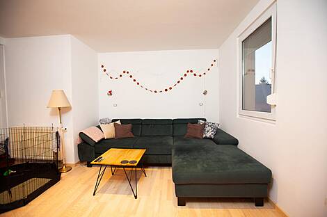 Жилище, Ежица: 19