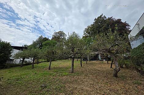 Дом, Шишка, Любляна: 2