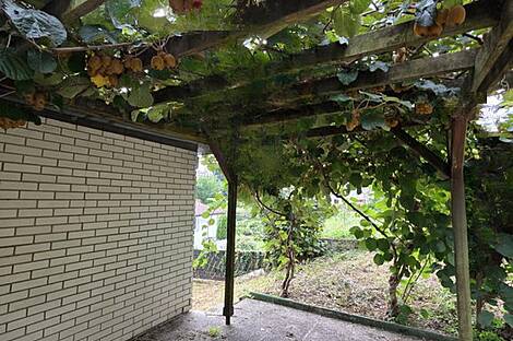 Дом, Шишка, Любляна: 3