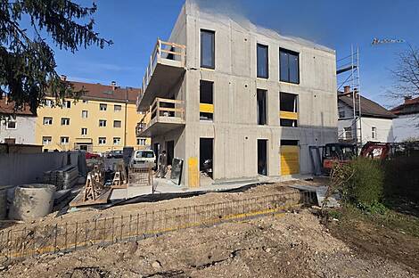 1-комнатная квартира в Бежиграде: 6