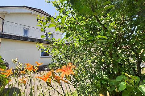 Жилище с верандой Дравле Сад: 5