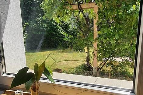 Жилище с верандой Дравле Сад: 14