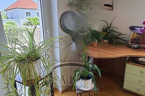 Жилище с верандой Дравле Сад: 20