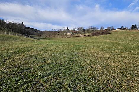 Поместье Кметиянов Долина Яренинская: 18
