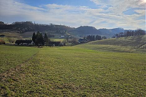 Поместье Кметиянов Долина Яренинская: 19