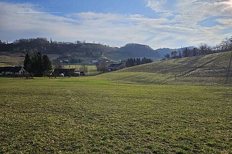 Поместье Кметиянов Долина Яренинская: 20