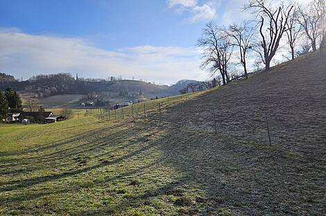 Поместье Кметиянов Долина Яренинская: 21