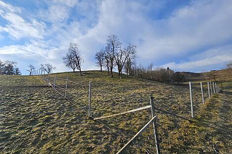 Поместье Кметиянов Долина Яренинская: 22