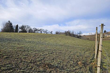 Поместье Кметиянов Долина Яренинская: 24