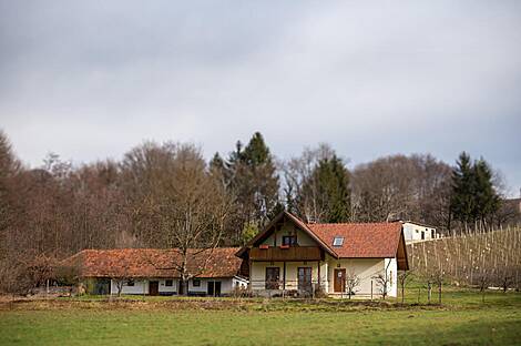 Имение, фермерский дом Содинцы: 27