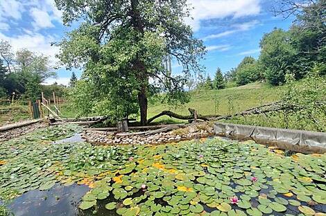 Усадьба 'Фермерский холм': 16