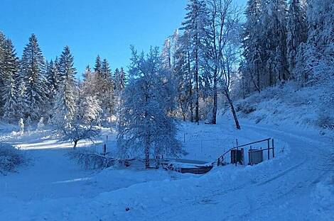 Усадьба 'Фермерский холм': 18