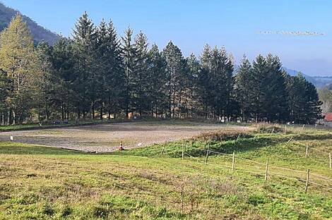 Участок, фермерское хозяйство Сеножечье.: 10